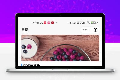 PDF转换小程序，工具流量主＋付费模式，无需对接api，有pc后台