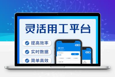 灵活用工平台系统源码软件开发定制税务筹划企业节税代缴税劳务派遣源码共享用工app开发