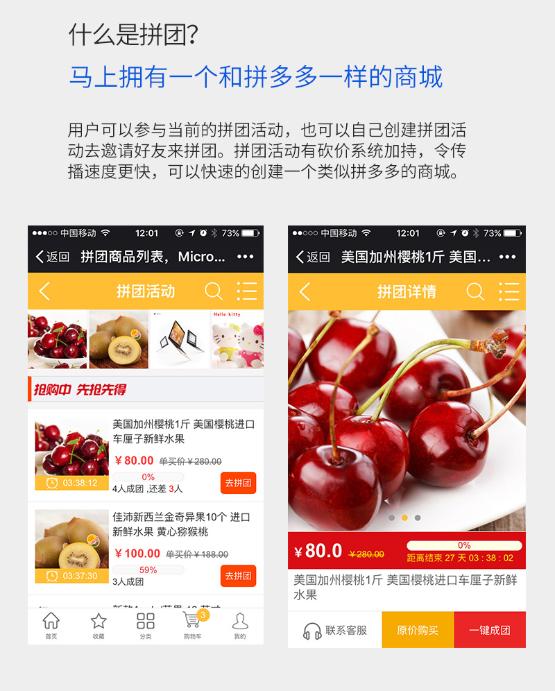 ShopPro-E 套餐-拼团商城正版系统出售